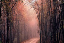 卢卡库：我见过很多更困难的逆转；比赛结束前一切皆有可能.