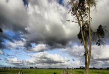 问鼎app官网：[图]张之臻0-2不敌纳尔迪 无缘多哈赛男单次轮.